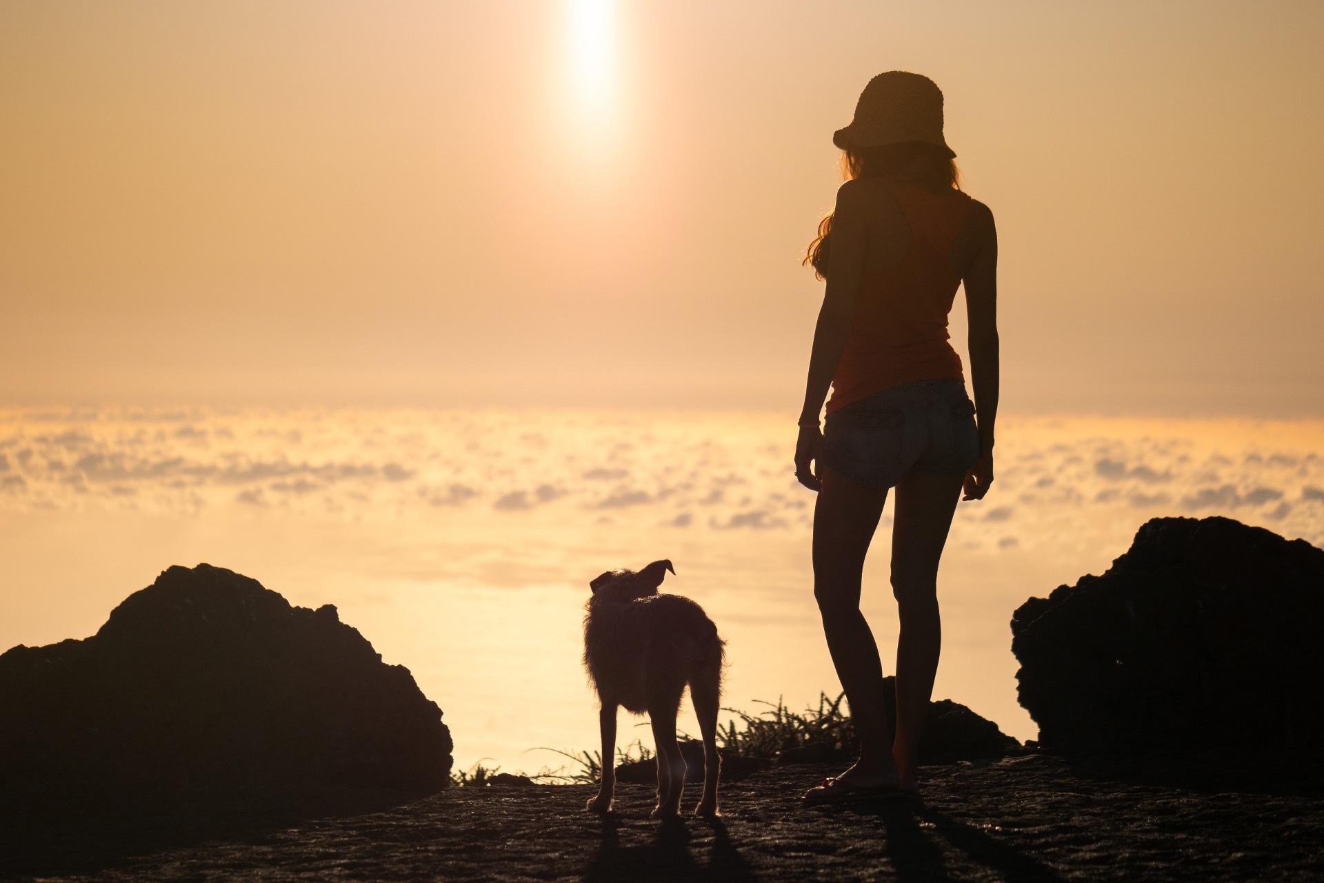 Woman with her dog overlooking Torquay sea